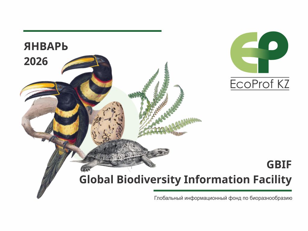 EcoProf KZ успешно прошел регистрацию в глобальном информационном фонде по биоразнообразию GBIF